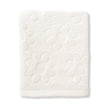 Solana 100% Cotton 2-Piece Hand Towel Set